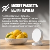 Вид 13